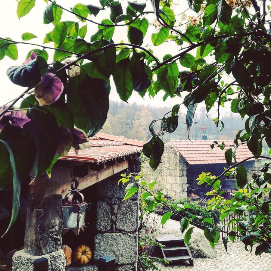 Casa Do Fundo - Sustainable & Ecotourism Konuk evi Seia Dış mekan fotoğraf